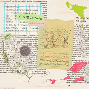 双女主牛奶和冰块
